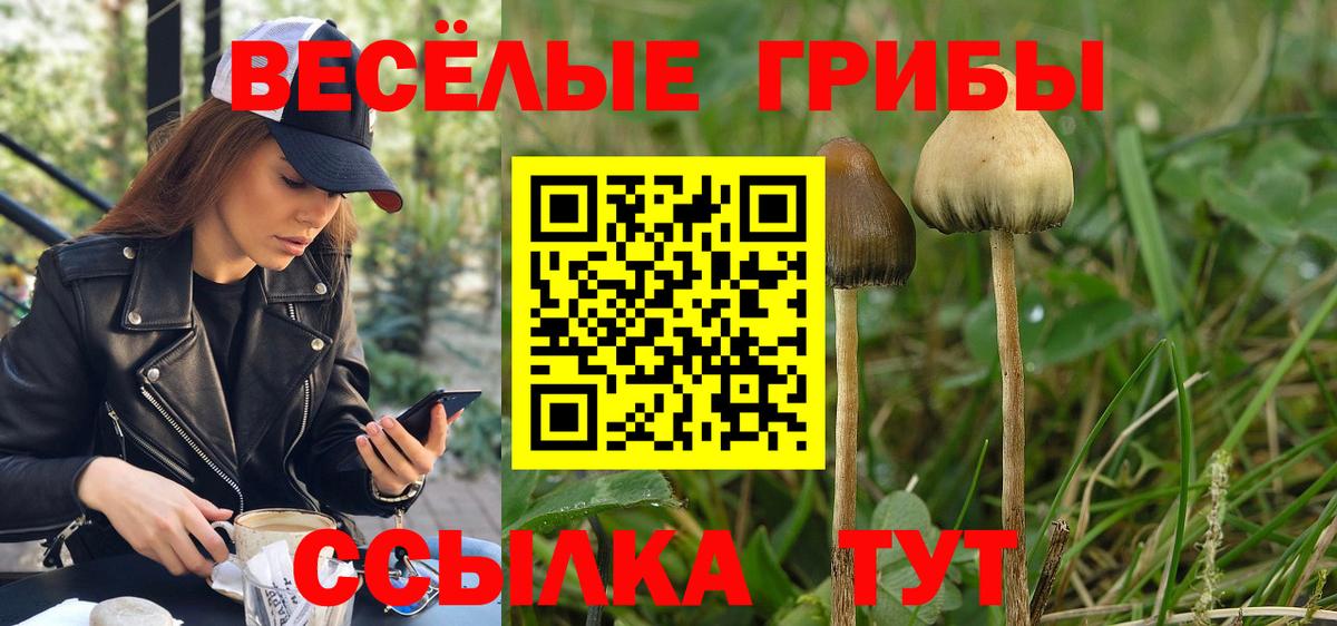 Галлюциногенные грибы Magic Shrooms  цена   Курган  Вход с VPN 