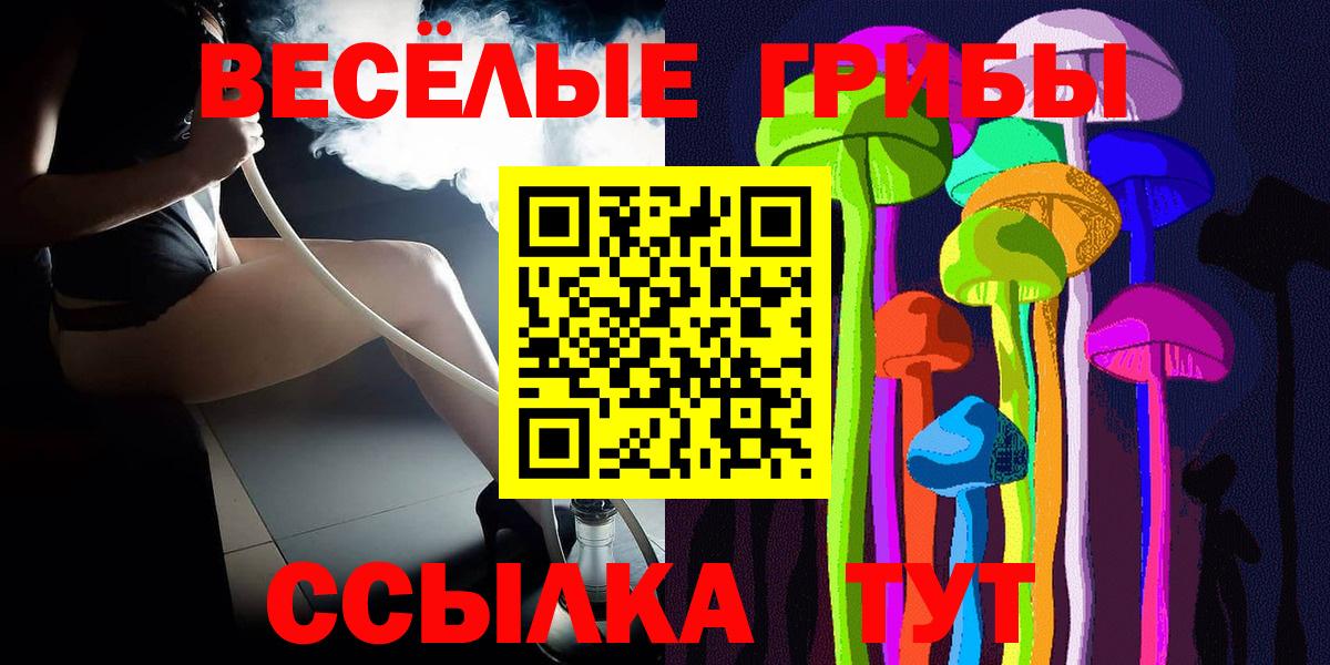 Псилоцибиновые грибы Cubensis Курган